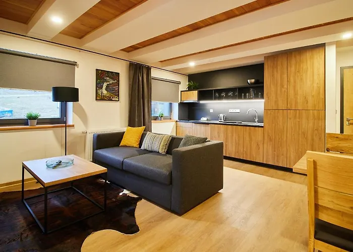 Vysluni Appartement *