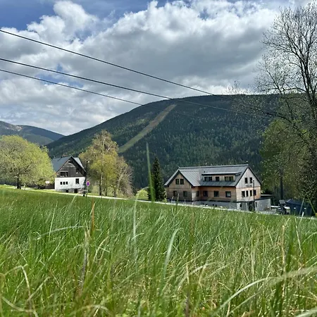 Vysluni Apartment *
