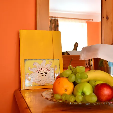 Apartament Vysluni
