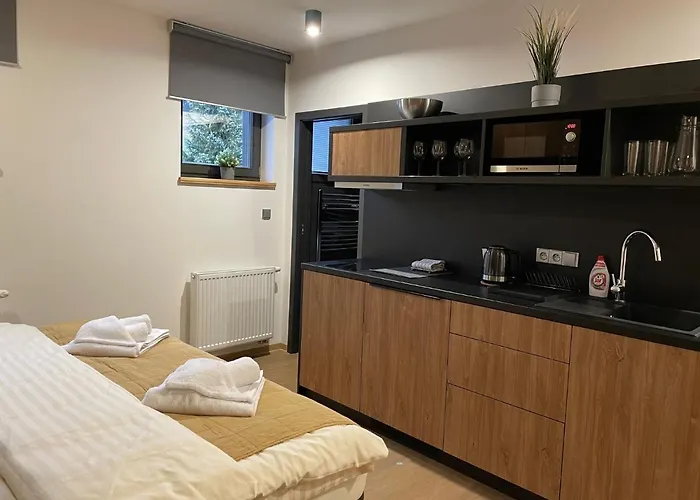 Vysluni Appartement